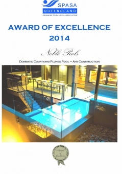 2014-SPASA-domestic-plunge-pool
