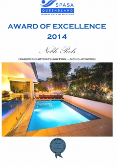 2014-SPASADomestic-Courtyard-Plunge-Pool–Any-Construction